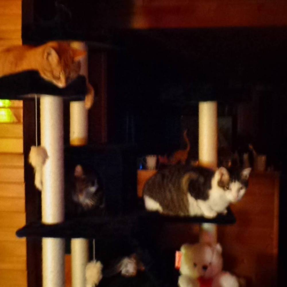 Meet your Posher, Denise